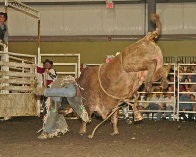 Bull Riders