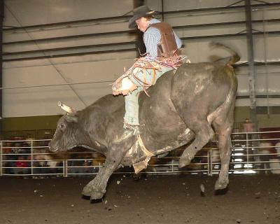 u18/luckybreak/medium/43087902.BullRidingEC179.jpg