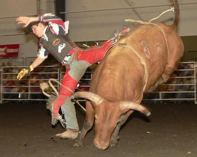 Bull Riders