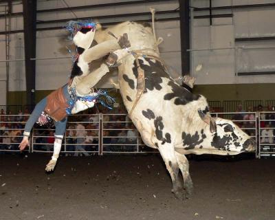 u18/luckybreak/medium/43087908.BullRidingEC222.jpg