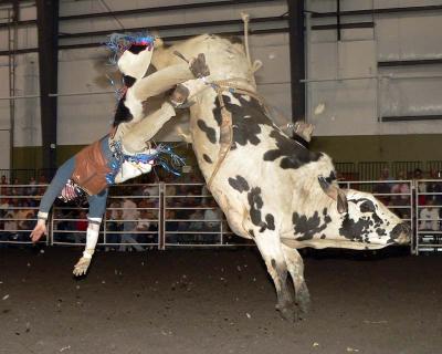 Bull Riders