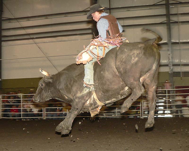 Bull Riders