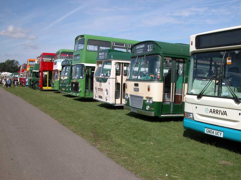 Buses