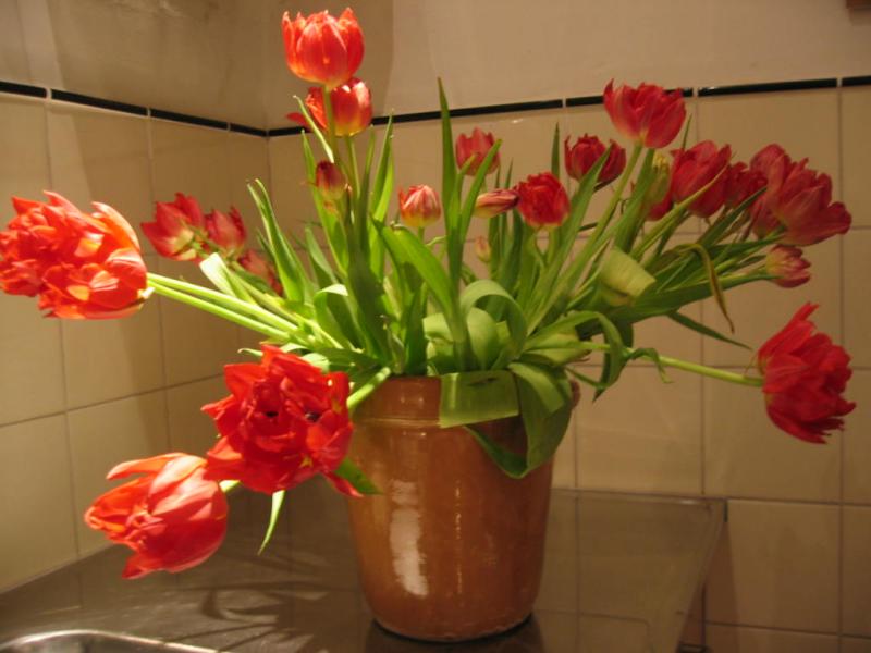 bloemen dag vijf