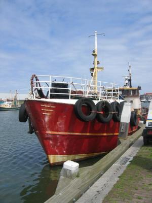 albatros