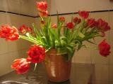 bloemen dag vijf