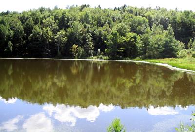 u18/malewis/medium/32943030.StephenFosterLake1.jpg