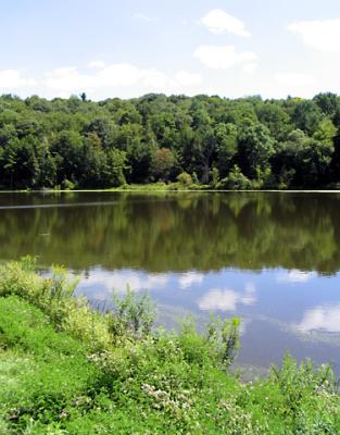u18/malewis/medium/32943031.StephenFosterLake2.jpg