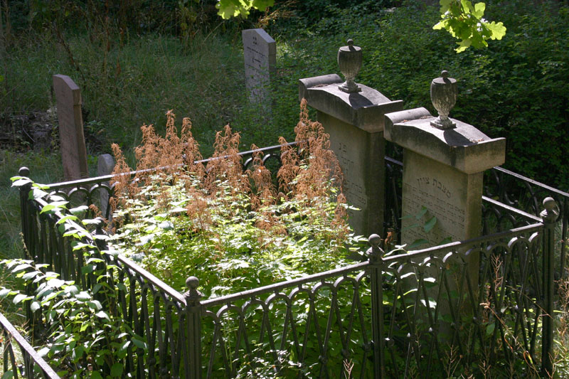 August  22: The jewish cemetery