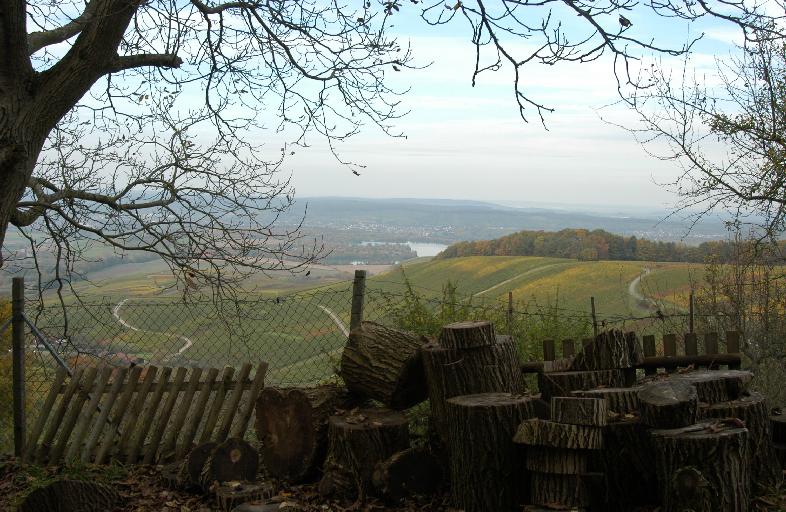 DSC_4465.JPG