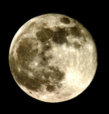 Full Moon b. 4-16-03 (unsharpened)