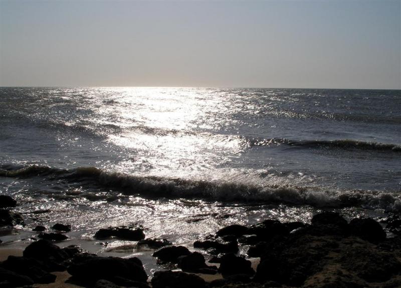 Pennsula de Paraguan , Playa de Punta Macoya 2, Edo. Falcn