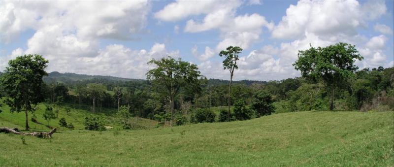 Paisaje del Norte del Edo. Yaracuy