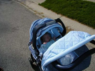 joe's first walk with mommy- week of May 1st 2005
