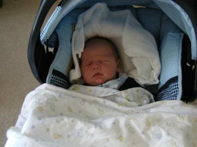 snoozing in the carseat carrier- preferred seating this week