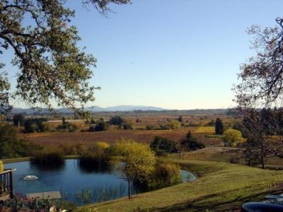 Fall Armida 02.JPG