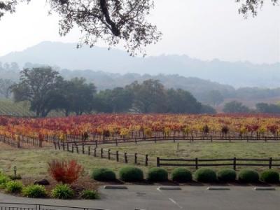 Fall Colors ___ Winery 04.JPG