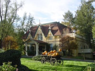 Fall Madrona 2.JPG
