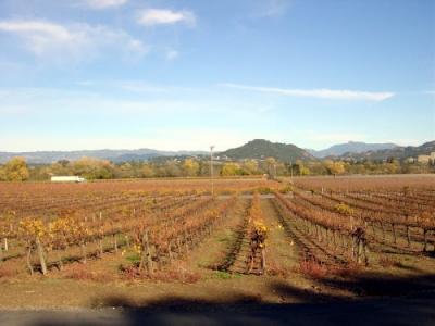 Fall Mill Creek  08.JPG