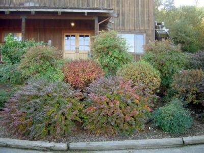 Fall Mill Creek  09.JPG