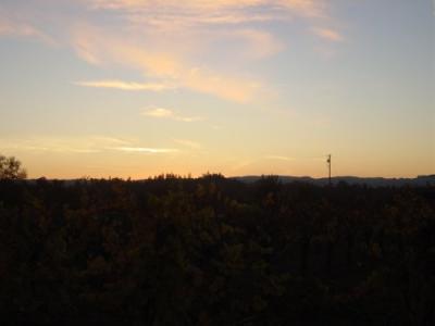 Fall Wine Road 3.JPG