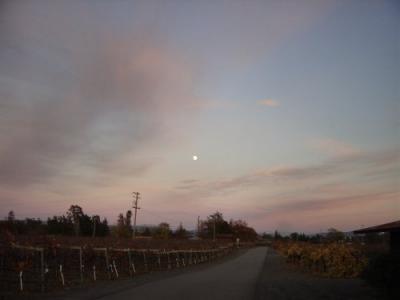 Fall Wine Roads 6.JPG