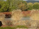 Fall Landmark 13.JPG