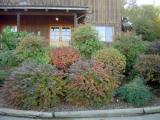 Fall Mill Creek  09.JPG