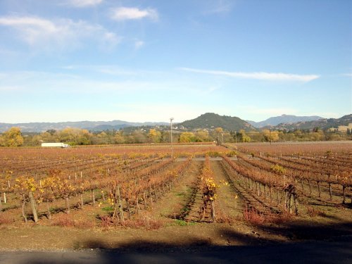 Fall Mill Creek  08.JPG