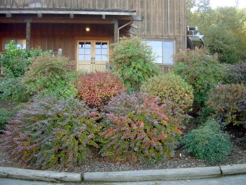 Fall Mill Creek  09.JPG