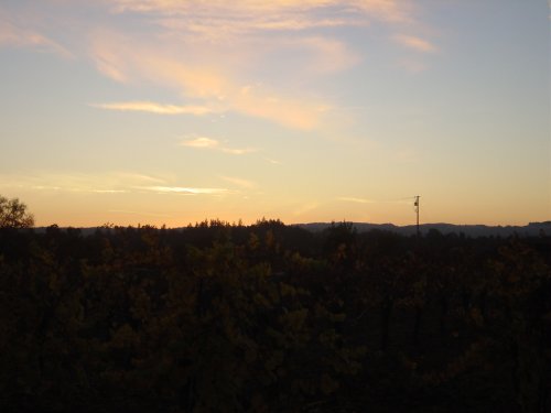 Fall Wine Road 3.JPG