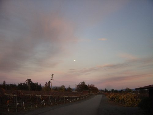 Fall Wine Roads 6.JPG