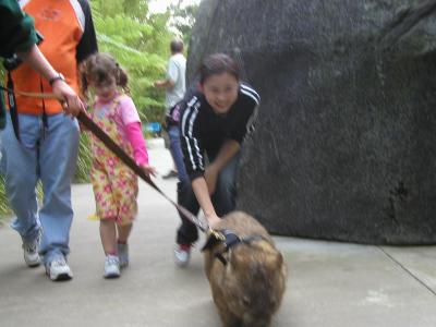 u18/mayojane/medium/43108708.australiazoo060505P5060127_resize.jpg