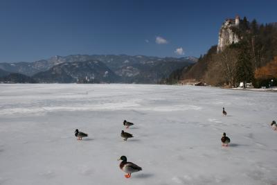 Lake Bled with Bled Castle on the right