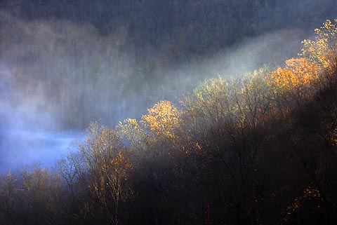Valley Mist 6754