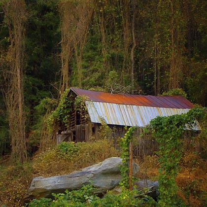 Mountain Barn 6828