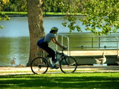 Riding Bikes at the Park