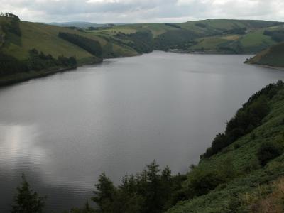 Clywedog