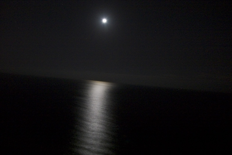 cajun moon