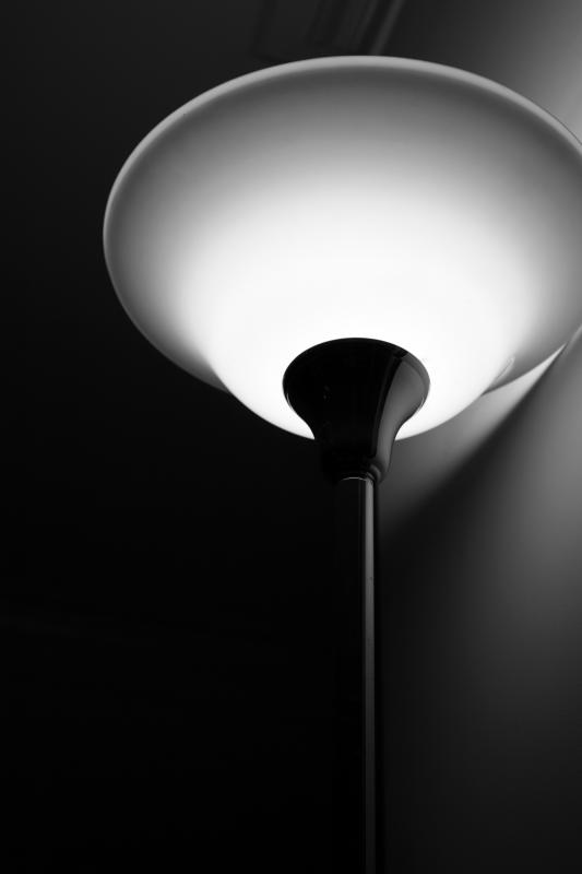 the lamp