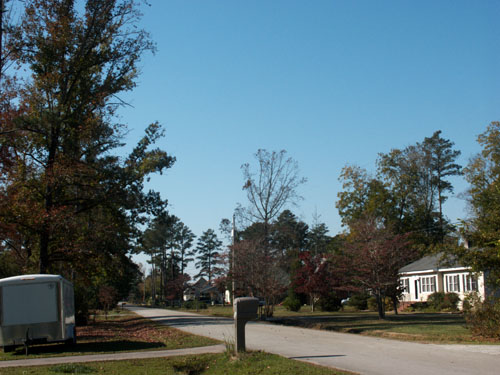 Fall Colors2