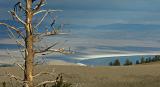 Distant Mono Lake