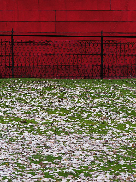 Seasons on a Lawn