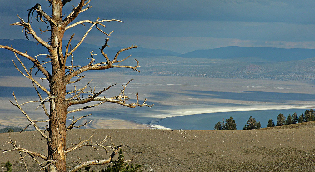 Distant Mono Lake