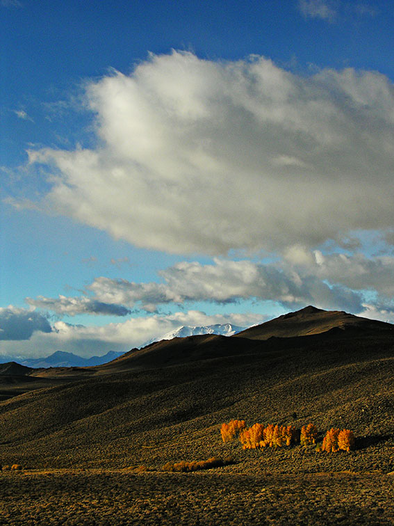Vast Morning Light