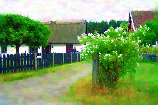 Vitemlla 02