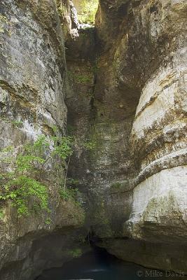 Roaring River Spring