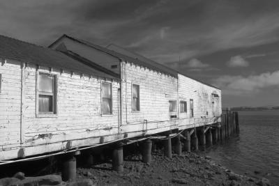 IMG00515dock ir2.jpg