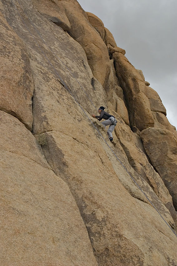 JTree Climbing