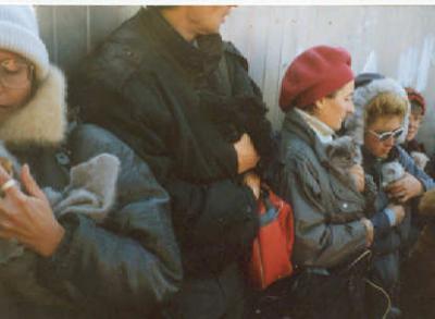 u18/mosko/medium/8412630.sellinghiddenanimalsoutsidetheunderground.jpg